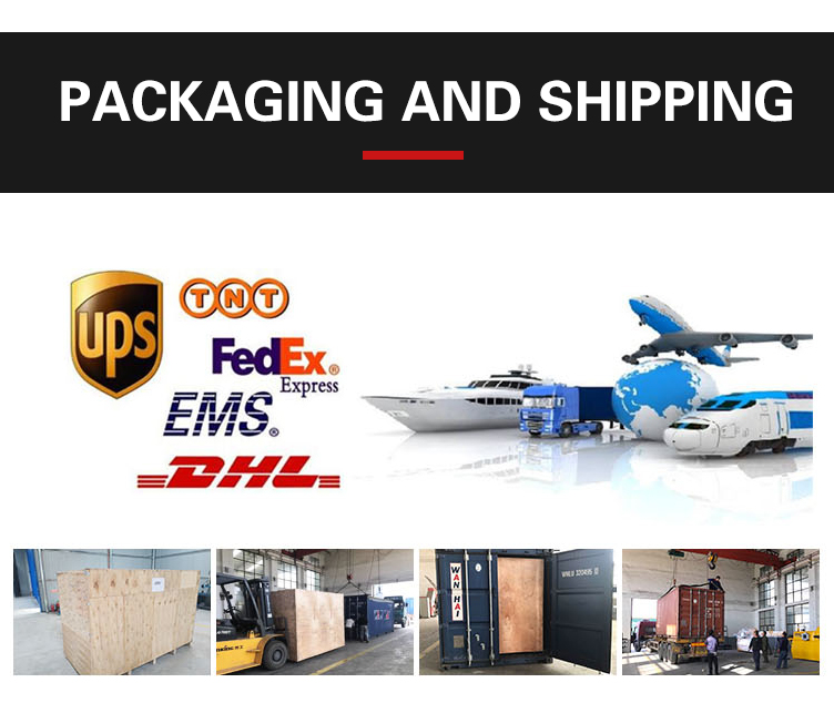 3d wire benidng machine factory (12)